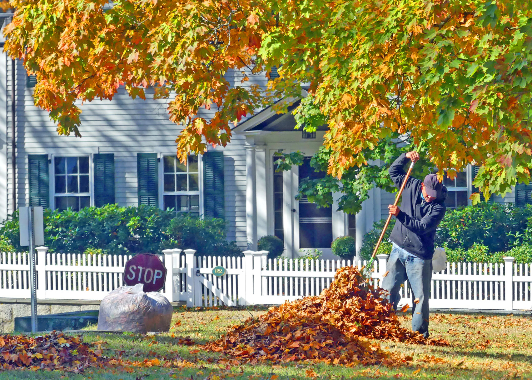 STN Raking leaves at Borough PO 12020.JPG